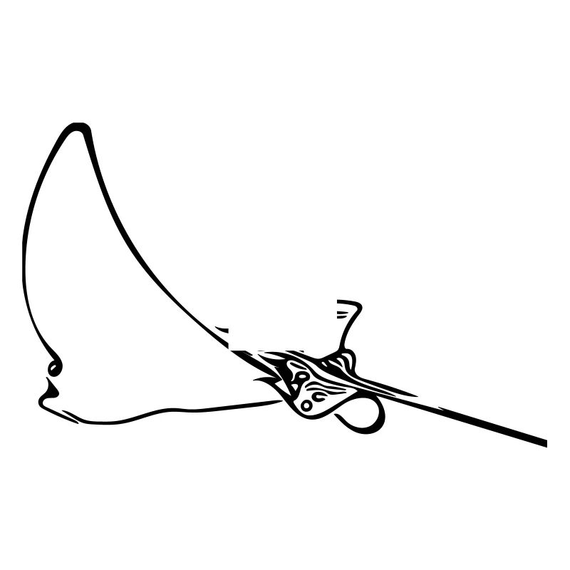Eagle rays