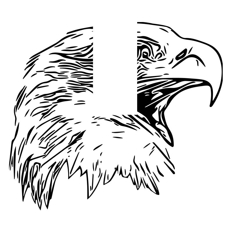 Tête d’aigle - Oiseau de prédant Royal Vector