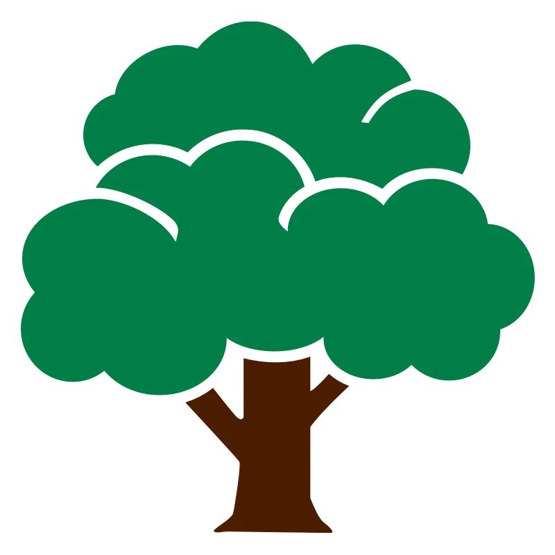 Baum