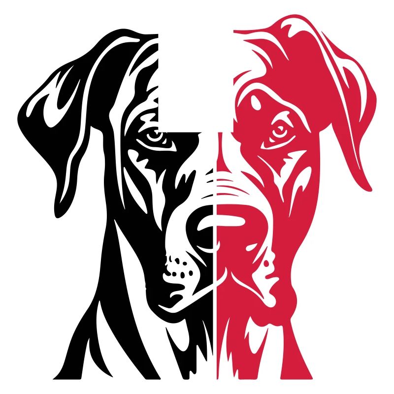 Great Dane Hund Kopf
