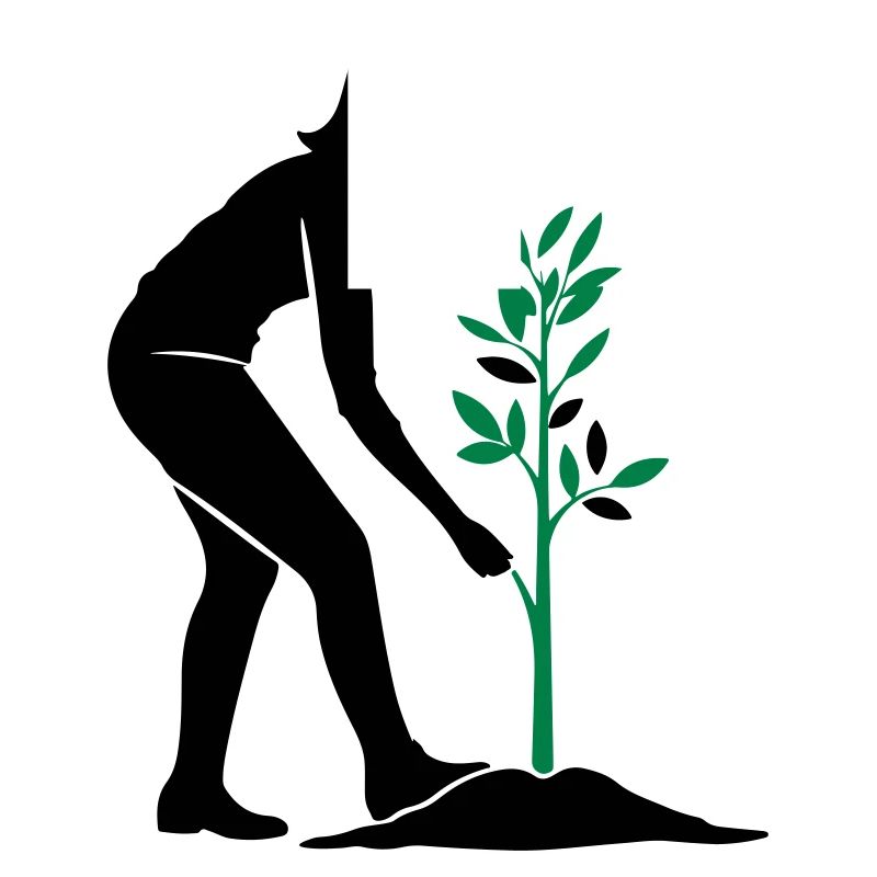 Tree Plants Nature Conservation