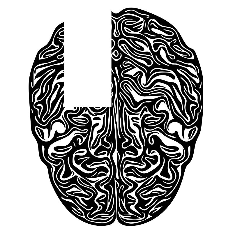 Cerveau - Vector anatomique