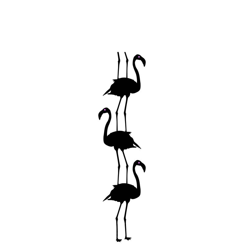 Flamants roses Animaux
