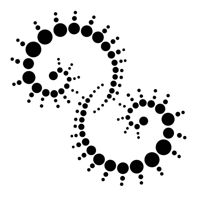 fossil2