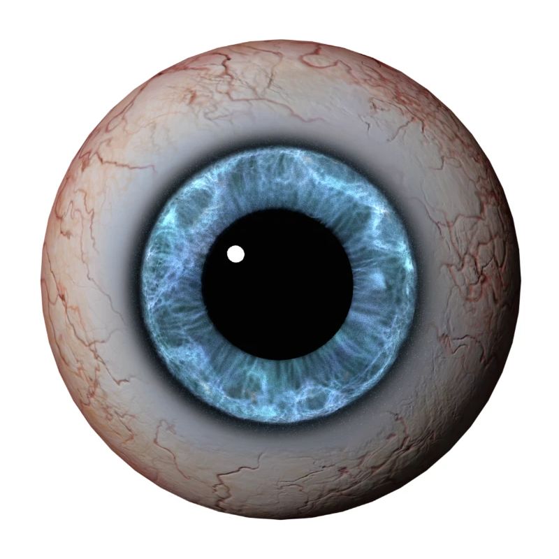 Eye Closeup Blue Iris