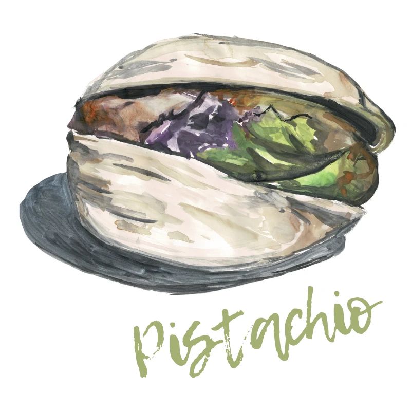 Pistachio Shell Esthétique Nut Lover