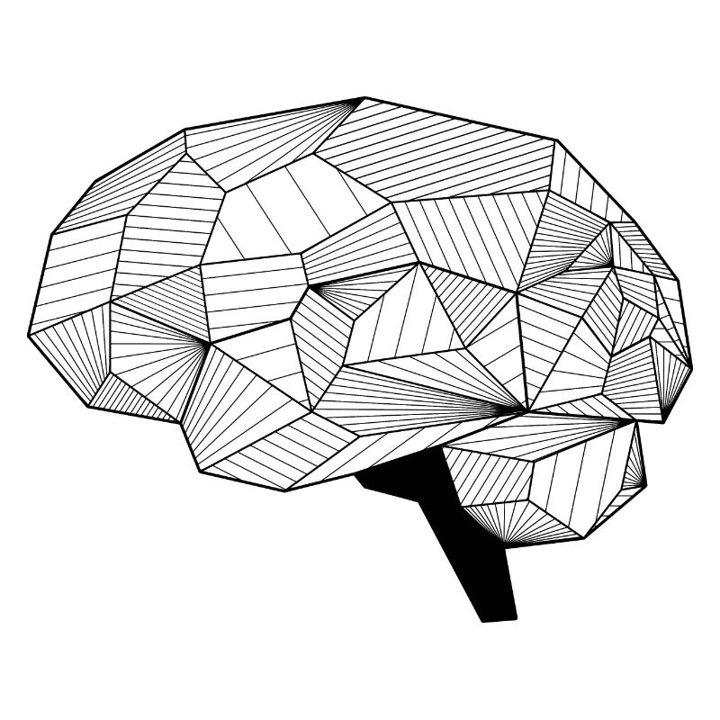 Brain
