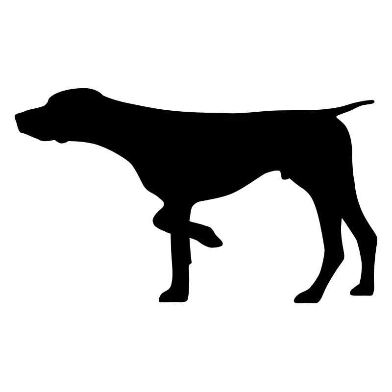 German Shorthaired Pointer