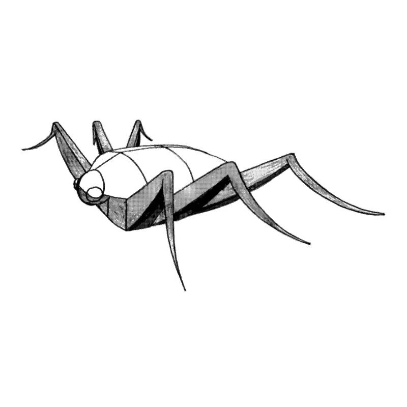 Insect bug bug drawing sketch construction