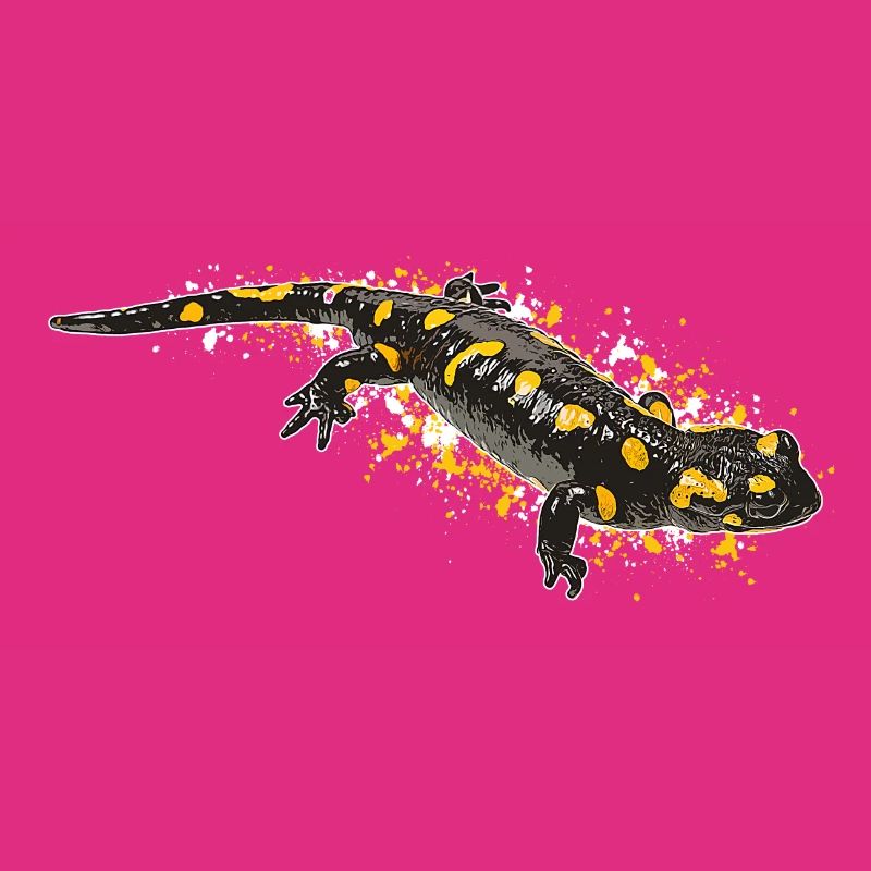 Fire Salamander Salamander