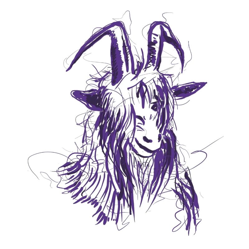 Bock (lila)