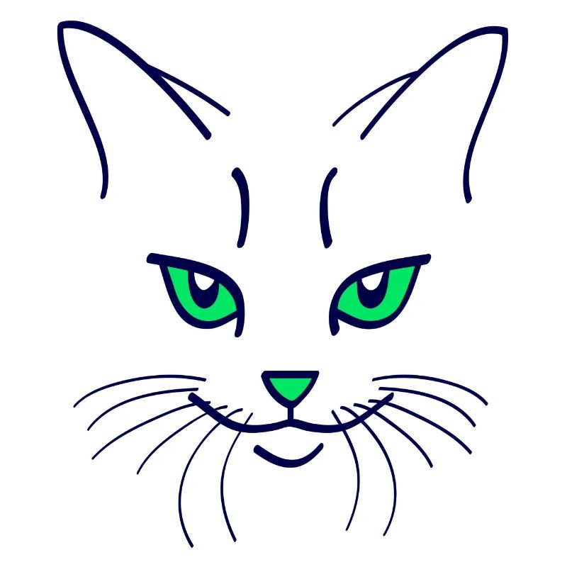 42 Couleur chat