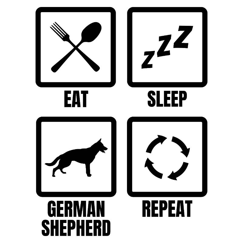 German Shepherd Daily Routine