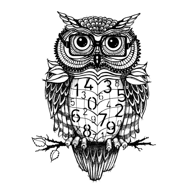 Smart Owl Math Numbers | STEM, Science, Professors