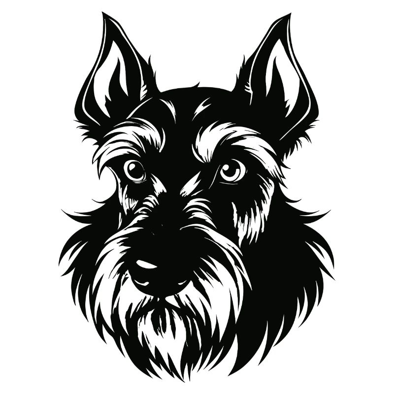 Schnauzer géant