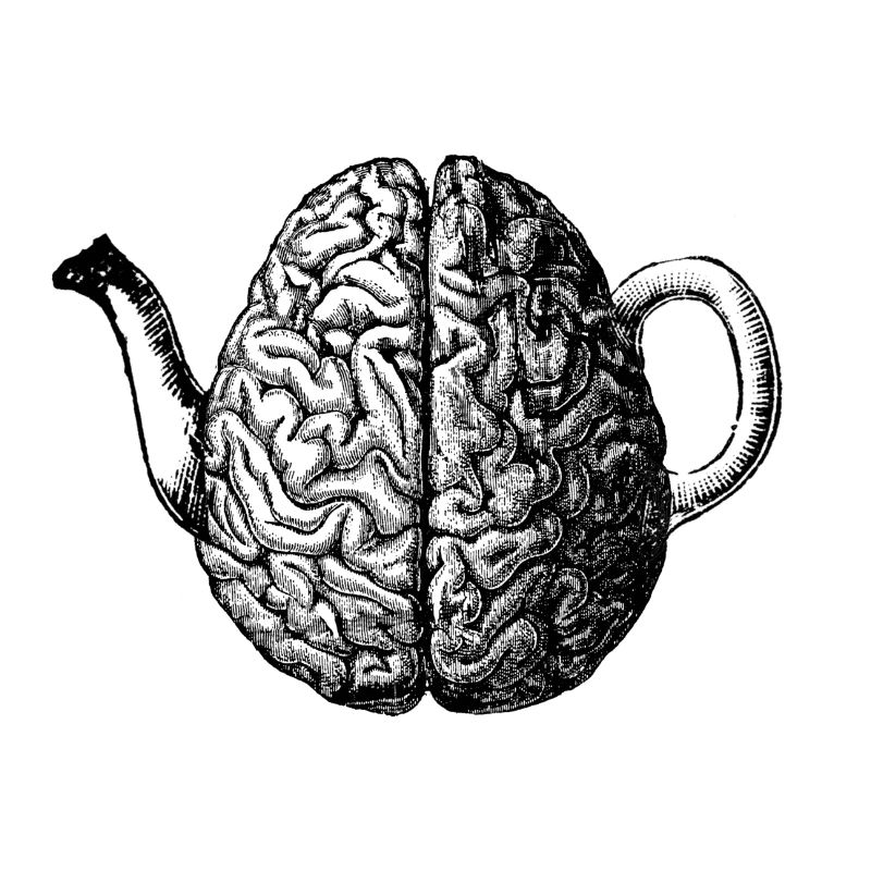 Brain Teapot