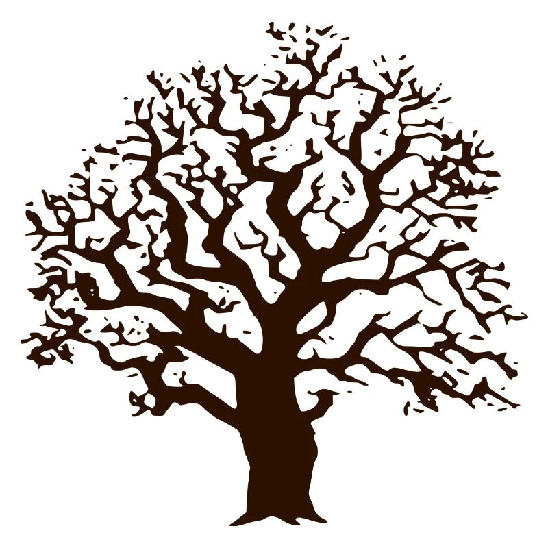 Baum Eiche
