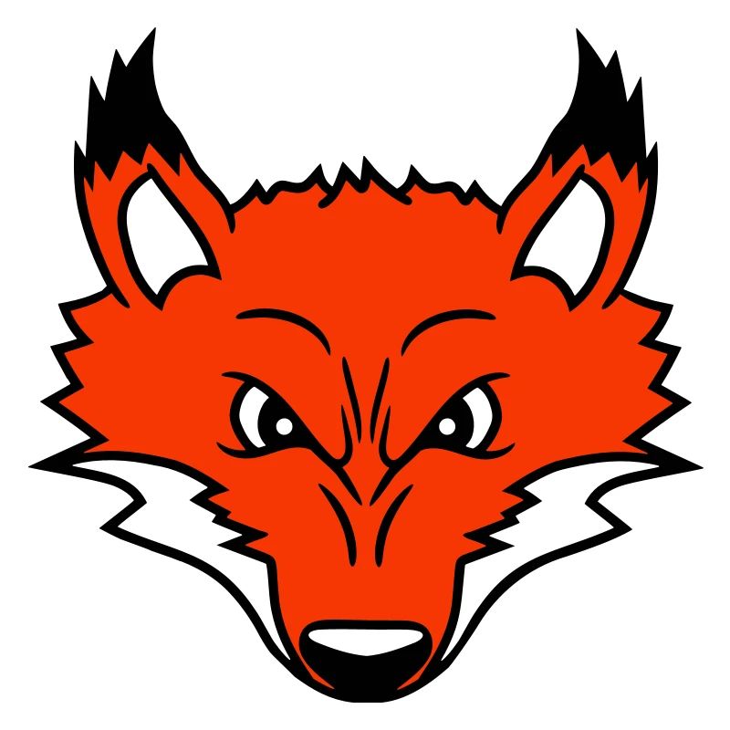 Fuchs Böser Blick Gefährlich Rotfuchs Wildes Tier