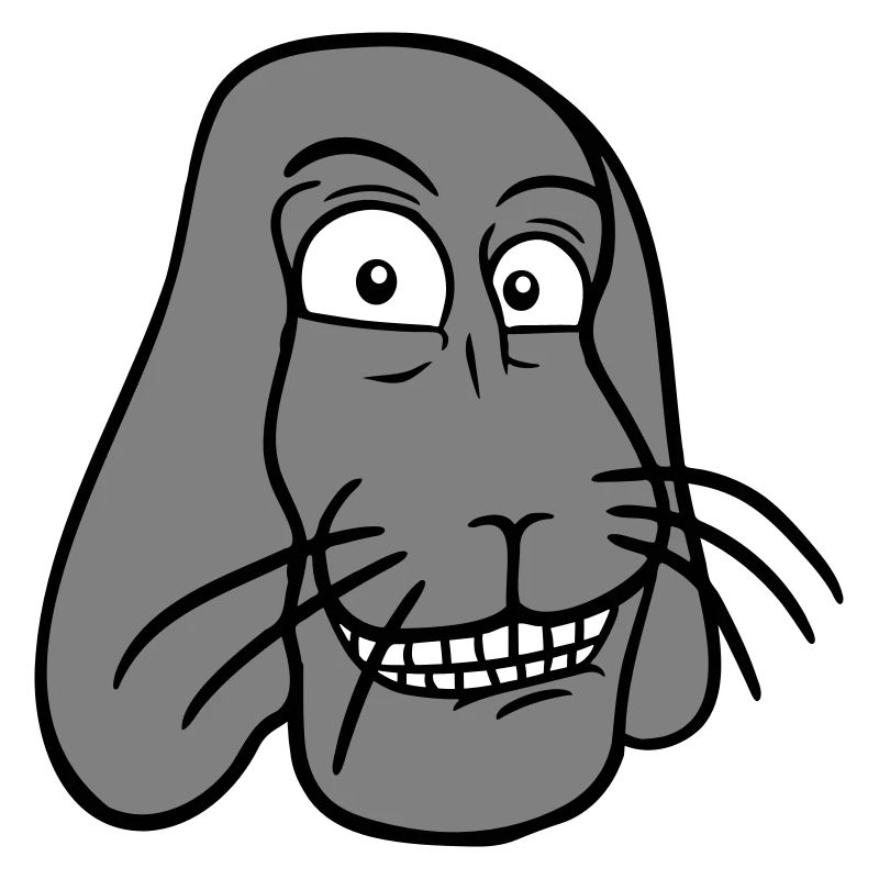 Lapin Lapin Drôle Visage Grimace Sourire