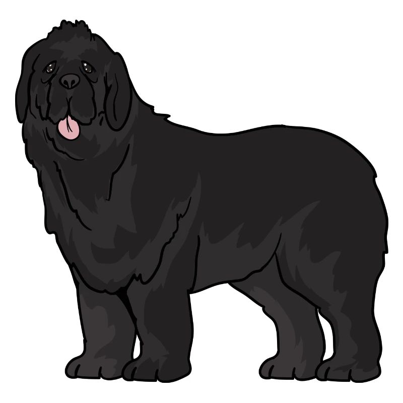 chien de Terre-Neuve