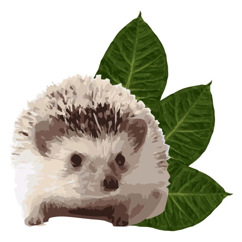 Igel Igel Kunst