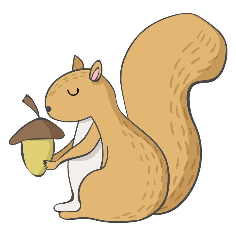 squirrel