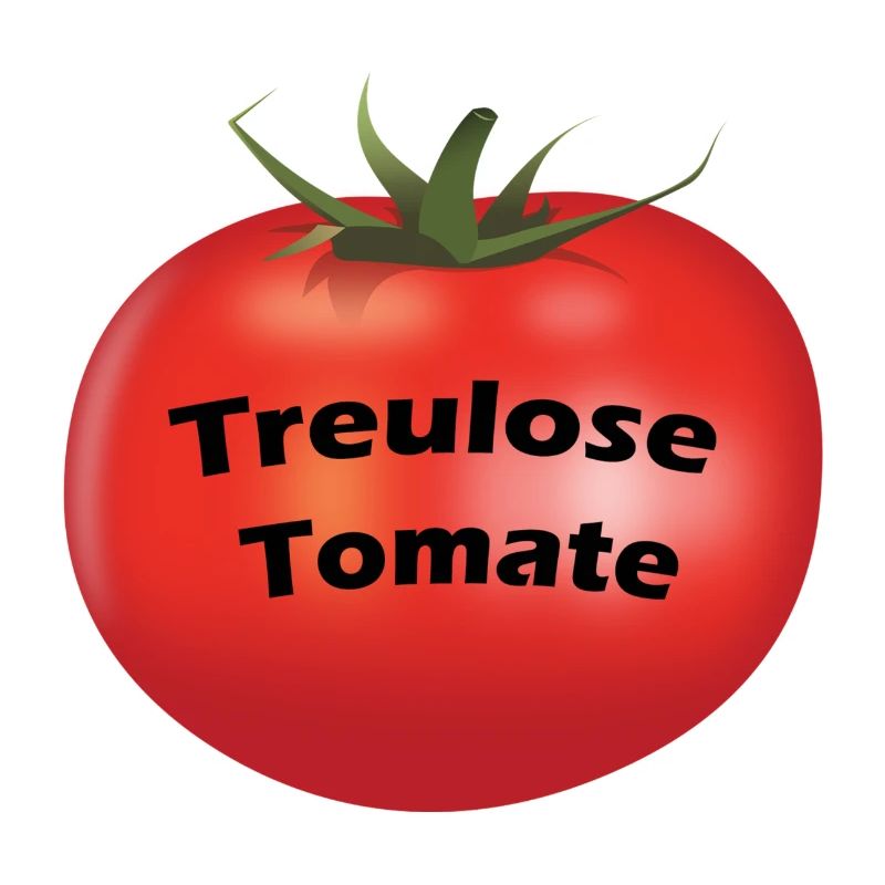 Tomate déshonorée