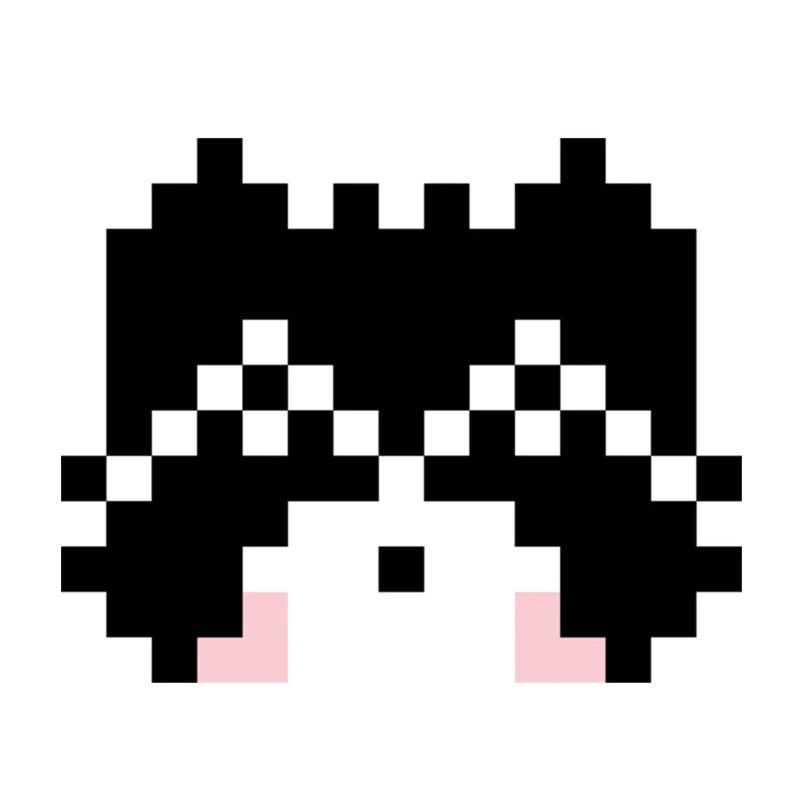 Waschbaer Pixel Art