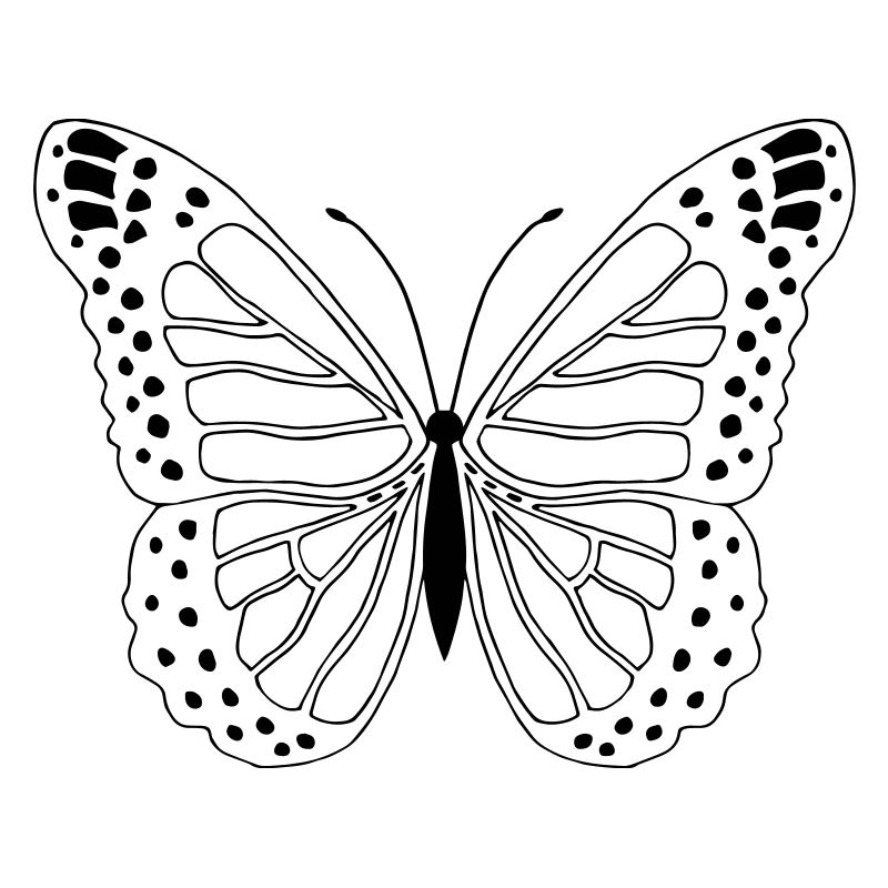 Schmetterling Butterfly Papillon