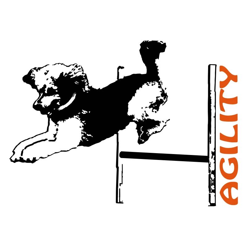 Agility poodle over hurdle