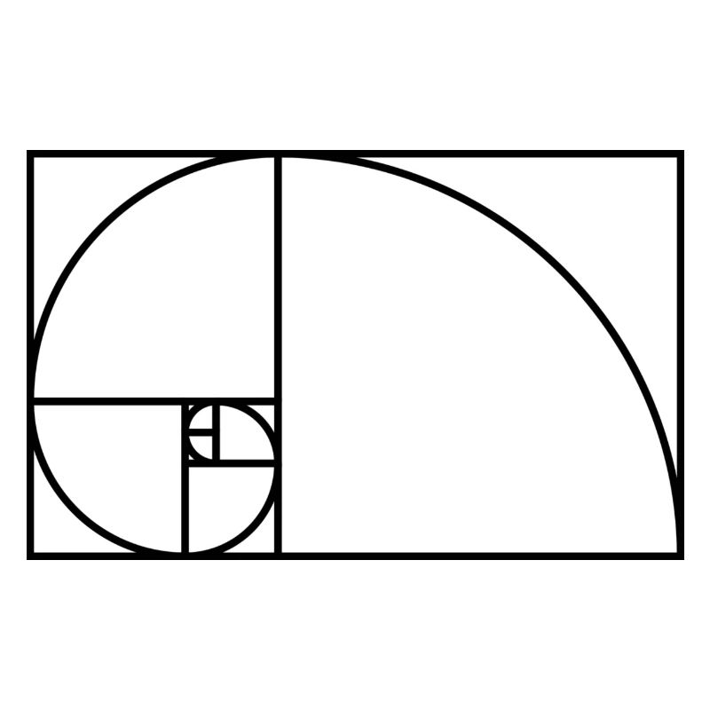 Fibonacci spiral math gift idea nerd