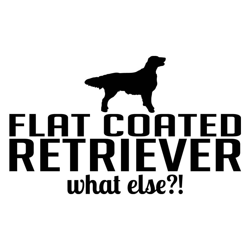 FLAT COATED RETRIEVER what else