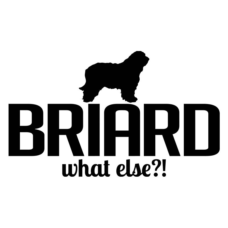 BRIARD what else