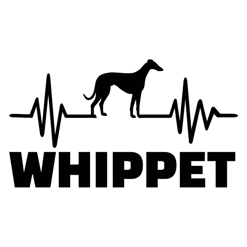 Whippet