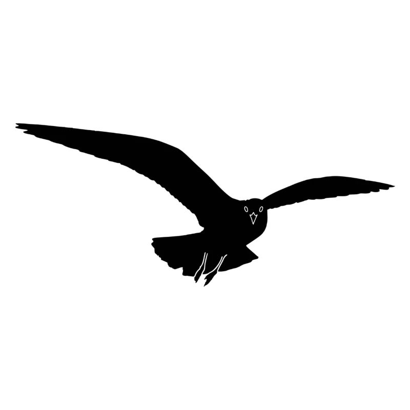 Möwe