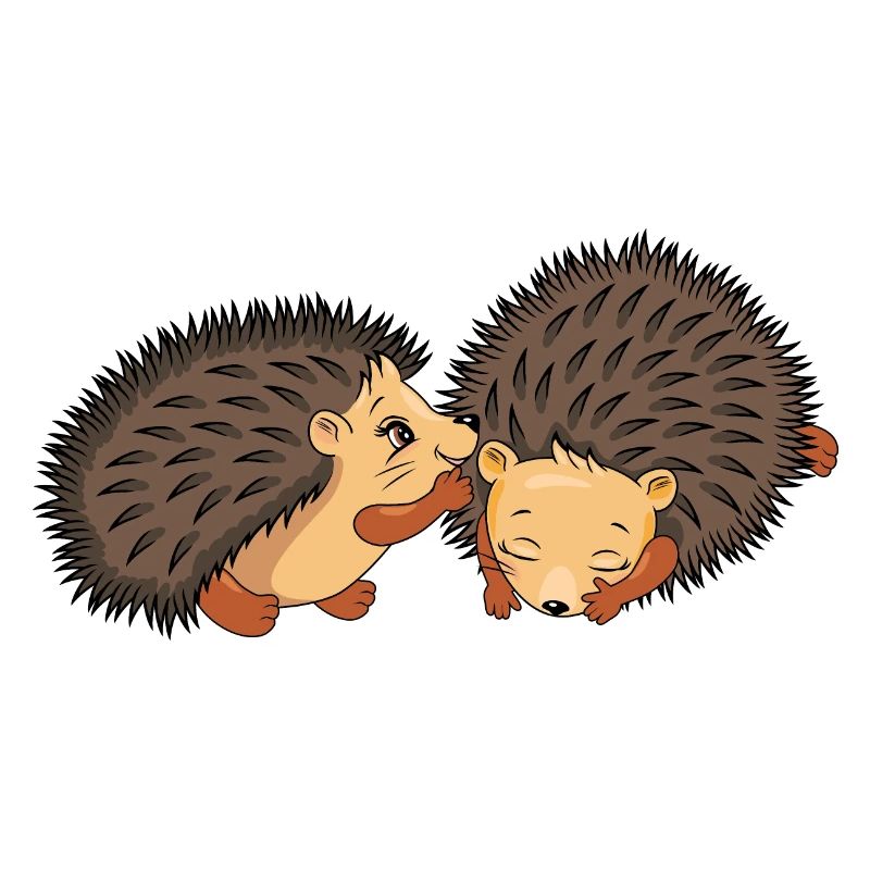 Two cute hedgehogs