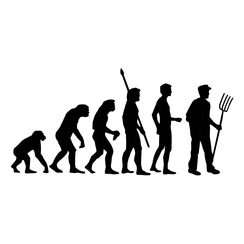 evolution_bauer_b