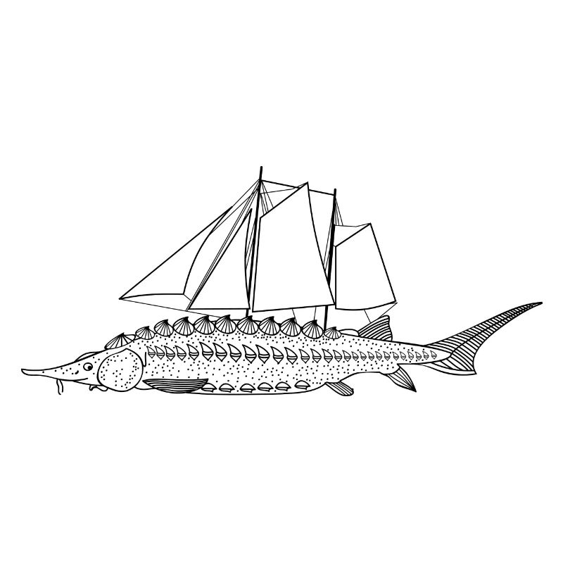 Sailfish (b)