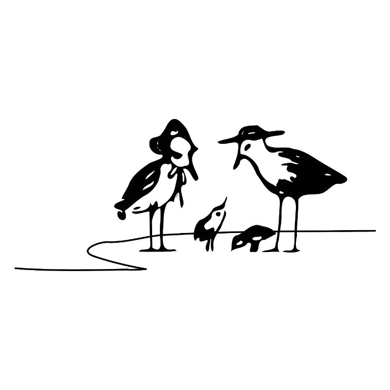 Seagulls