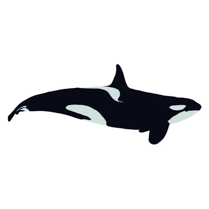 Orque