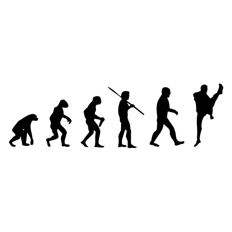 Martial Arts Evolution