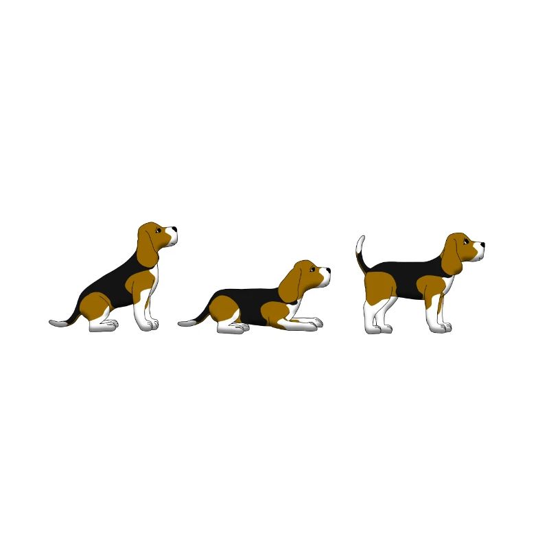 sit down stay beagle 1