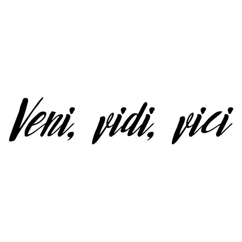 Veni, vidi, vici