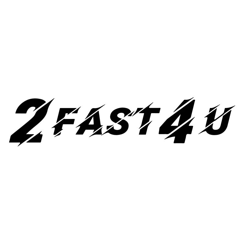 2 FAST 4 U