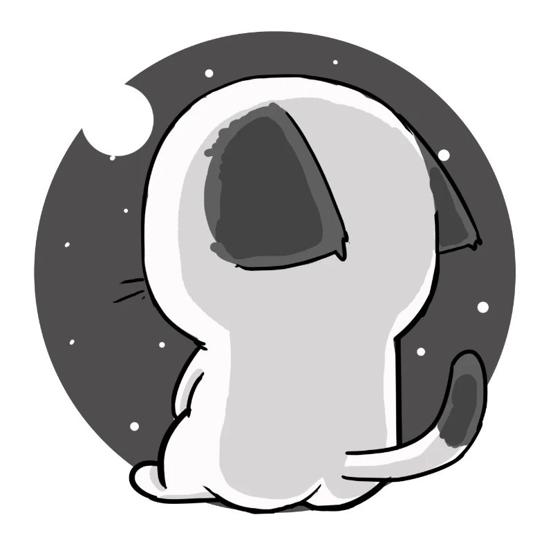 chat