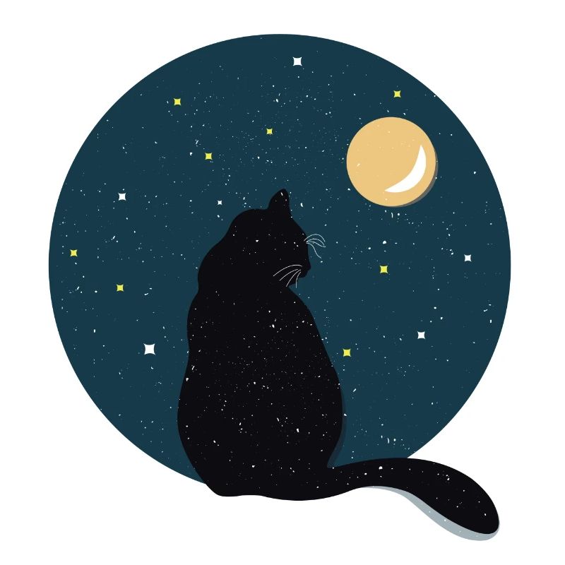 Chat noir devant la lune.