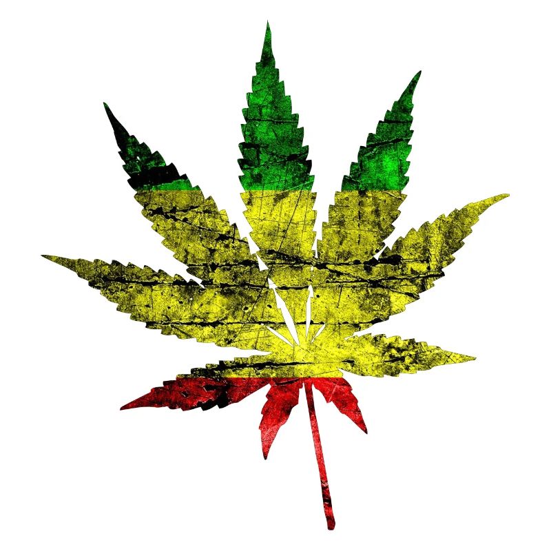 Cannabis