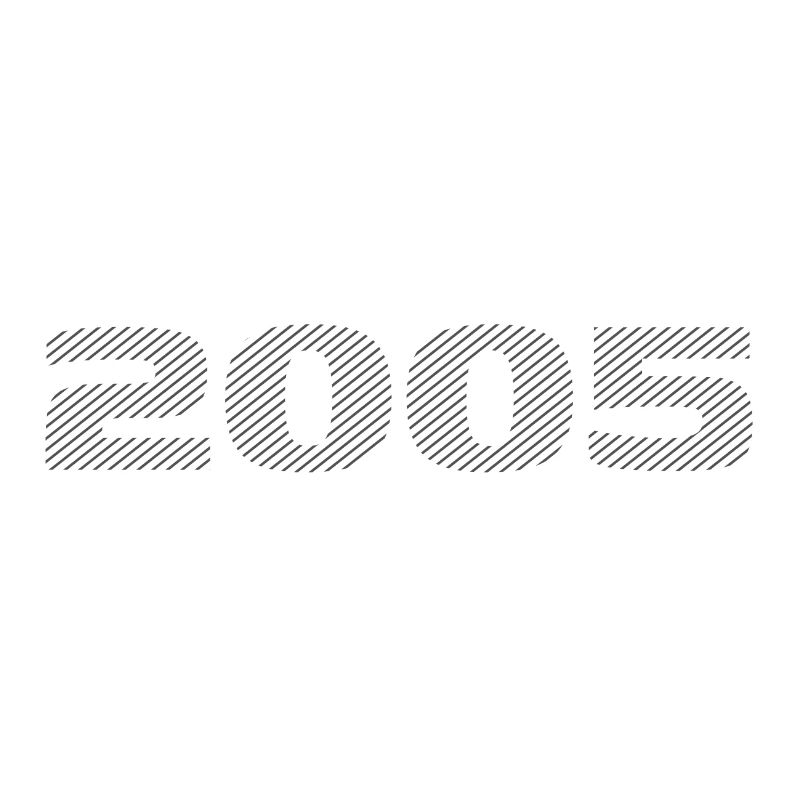 Né en 2005 Retro Stripe Design d’anniversaire moderne