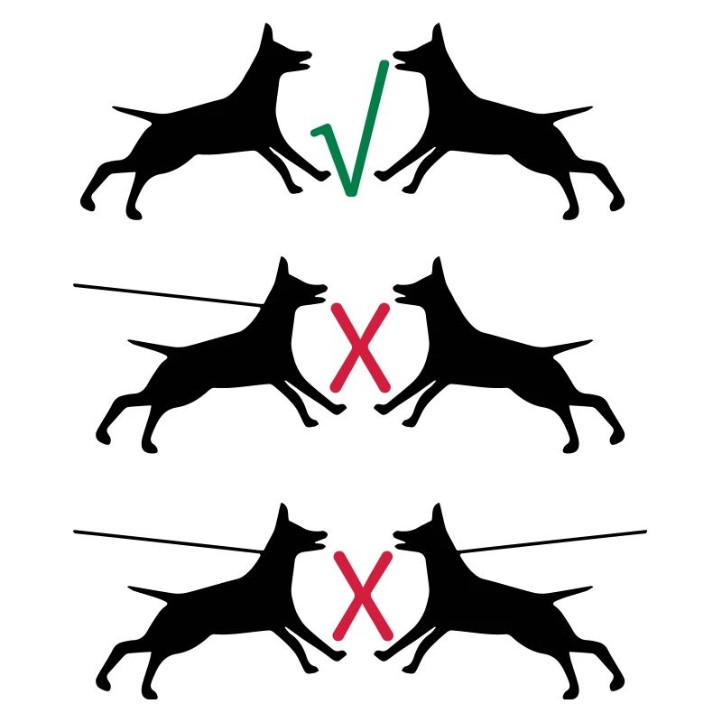Dogs on a leash