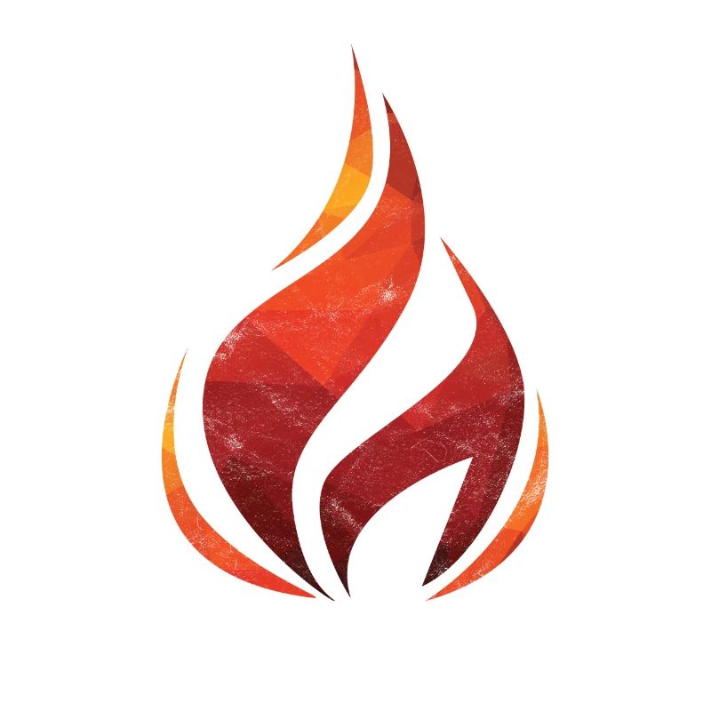 Fire flame fire brigade gift heat forest fire